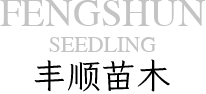 胜天国际移动办公OA系统手机版APP下载中心