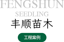胜天国际企业桌面分销管理客户端软件技术白皮书下载