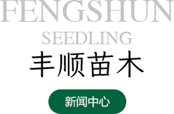 胜天国际企业职工文体健康活动中心管理系统
