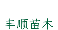 胜天国际移动办公OA系统手机版APP下载中心